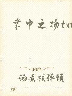 掌中之物txt