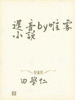 迟音by唯雾的小说封面