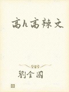 高h高辣文