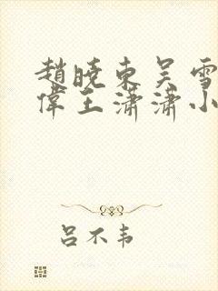 赵晓东吴雪晴郑伟王潇潇小说封面