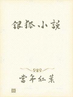 银狐小说