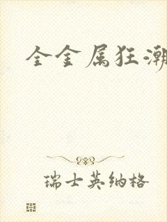 全金属狂潮小说