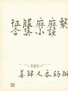 征服麻麻系列大合集小说封面