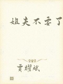 姐夫不要了封面
