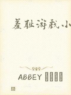 羞耻游戏小说