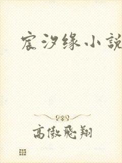 宸汐缘小说