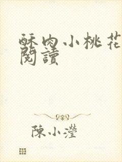 酥肉小桃花全文阅读