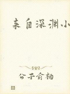 来自深渊小说