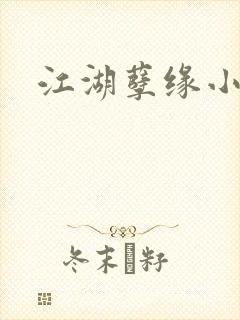 江湖孽缘小说