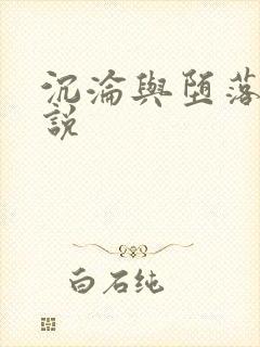 沉沦与堕落的小说