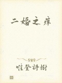 二婚之痒