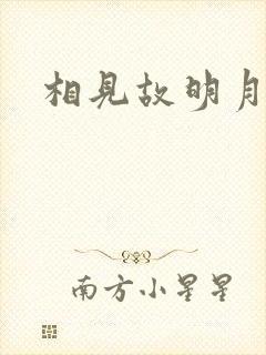 相见故明月