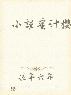 小说蜜汁樱桃封面