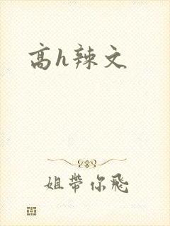 高h辣文