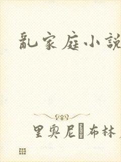 乱家庭小说