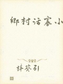 乡村活寡小说封面