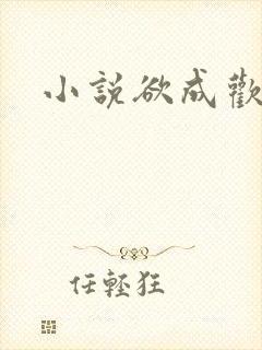 小说欲成欢
