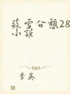 苏雪公憩28篇小说封面