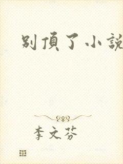别顶了小说