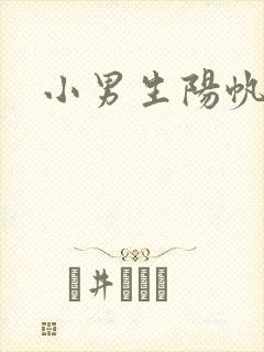 小男生阳帆封面