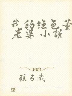 我的绝色董事长老婆 小说