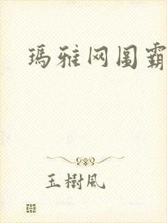 玛雅网图霸天下