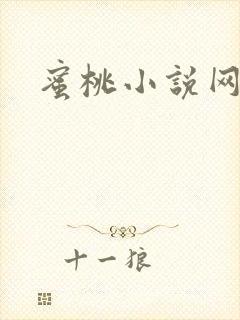 蜜桃小说网