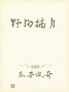 野狗摘月