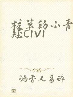 校草的小青梅不经C1V1