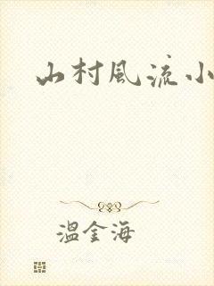 山村风流小说封面