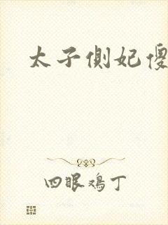 太子侧妃傻乎乎