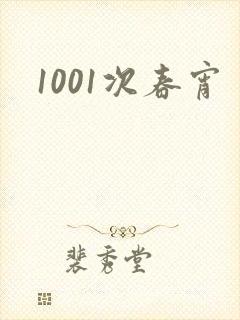1001次春宵封面
