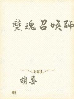 双魂召唤师