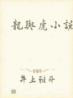 龙与虎小说封面