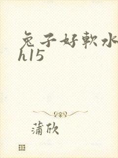 兔子好软水好多h15封面