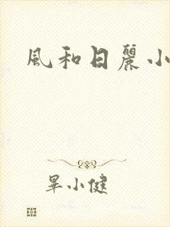 风和日丽小说