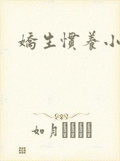 娇生惯养小说