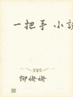 一把手 小说