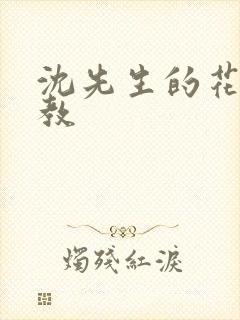 沈先生的花式管教