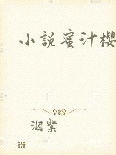 小说蜜汁樱桃