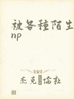 被各种陌生人 np