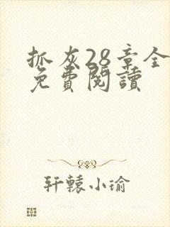 抓灰28章全部免费阅读封面