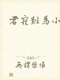 君宠难为小说封面