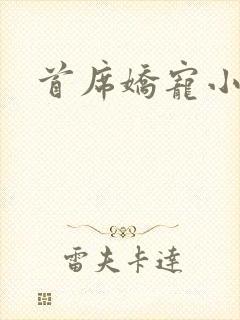 首席娇宠小情人