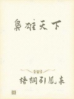 枭雄天下