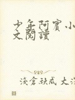 少年阿宾小说全文阅读