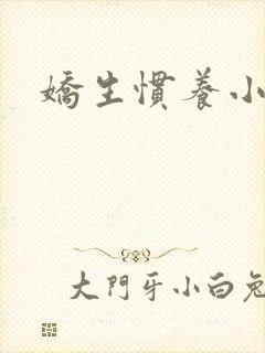 娇生惯养小说封面