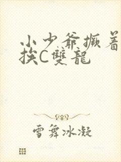 小少爷撅着屁股挨C双龙封面