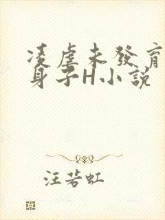凌虐未发育的小身子H小说封面