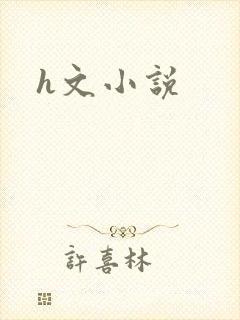 h文小说